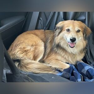 Meet your Posher, Erika